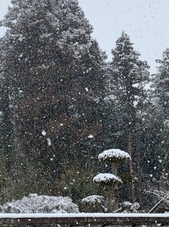 地震に強い家づくり2/11・雪にドキドキ