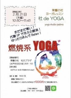 地震に強い家づくり2/13・YOGAレッスン開催します