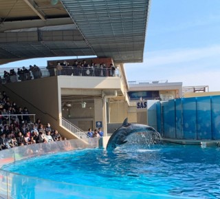 地震に強い家づくり2/18・江の島