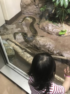 地震に強い家づくり5/4・神峰動物園