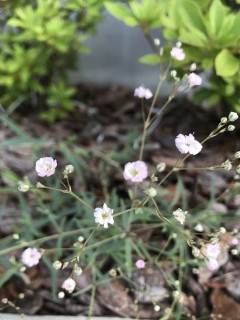地震に強い家づくり6/8・これでいいのか？