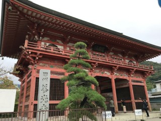 木の家に住みたい