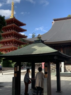 観光気分の一日