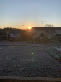 筋肉痛でございます