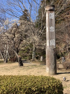 初めての偕楽園