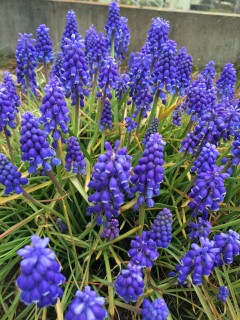 便利になってるのかな？