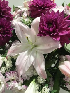 50年前に初めて食べたインスタント焼きそばの味が衝撃的だった