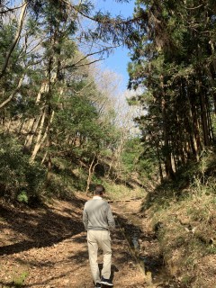 水戸市森林公園を歩いてきました