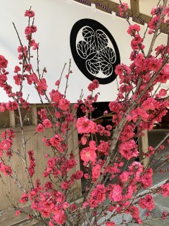 間違ってブログ消しちゃいました