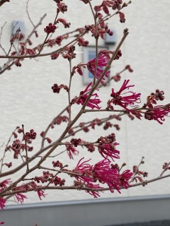 一番苦手なやつなんです