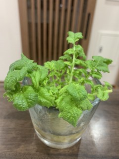 生きる力にありがとう！