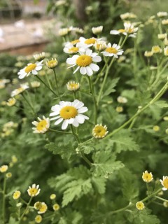 激しく後悔しています