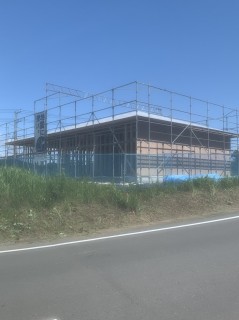 仕事がはかどる日曜日