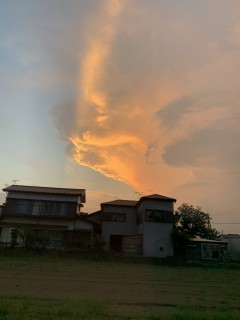 今日の空
